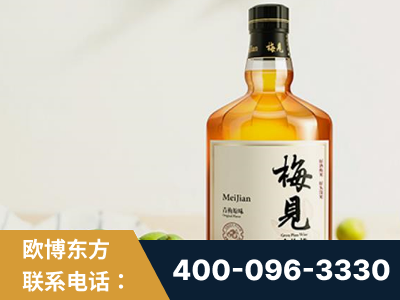 惠州-梅见青梅酒